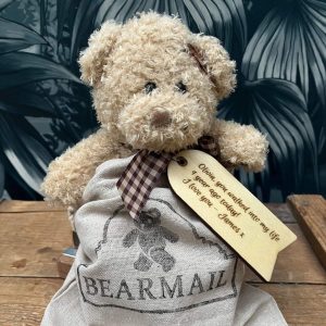 personalised Bear Mail teddy bear